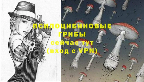 мдпв Липки