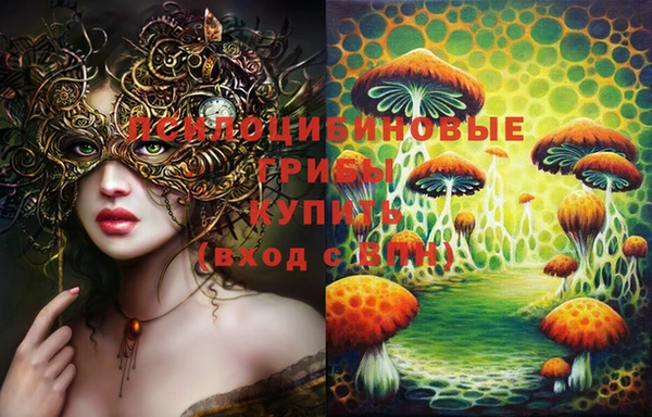 мдпв Липки