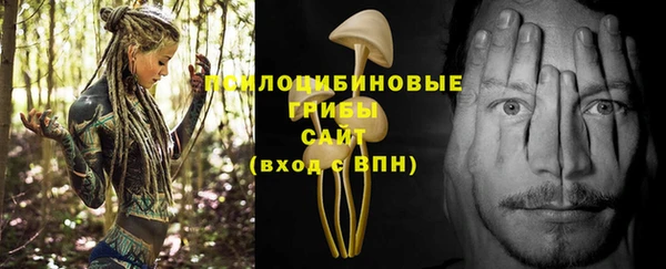 мдпв Липки