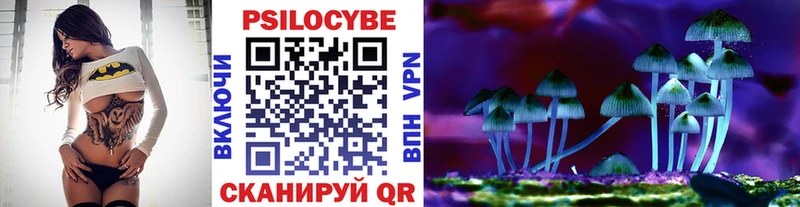Псилоцибиновые грибы прущие грибы Чадан