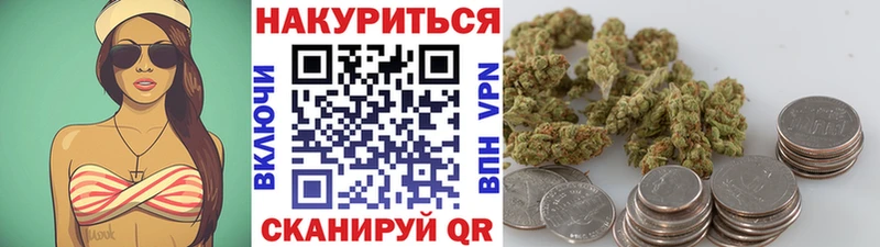 Шишки марихуана семена  omg tor  Чадан 